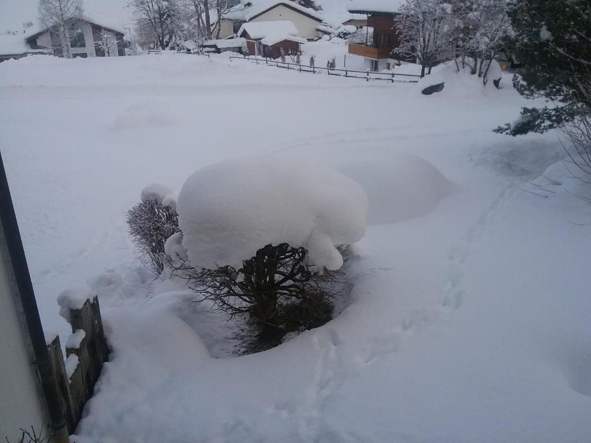 Disentiserhof Mila Bagian luar foto
