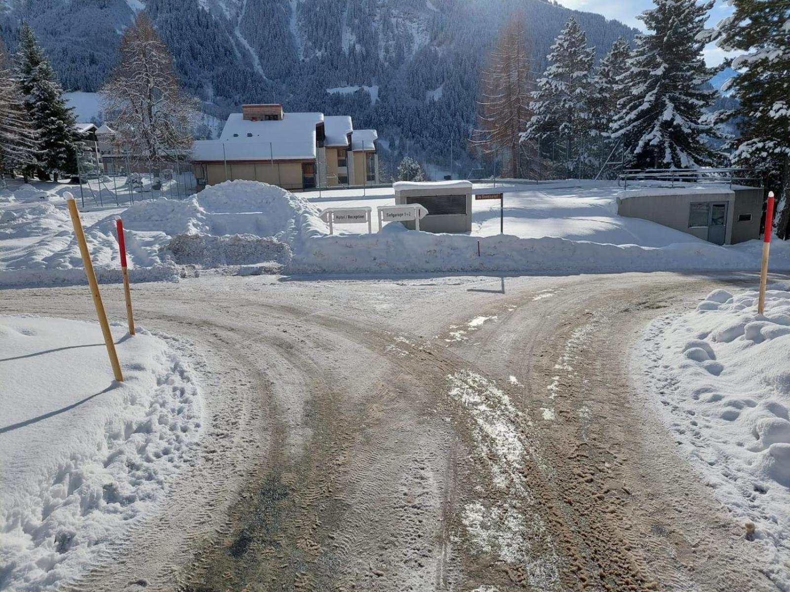 Disentiserhof Mila Bagian luar foto
